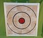 AXE THROWING TARGET 999 - 23 1/2 x 22 1/2 x 3 3/4 Only $179.99